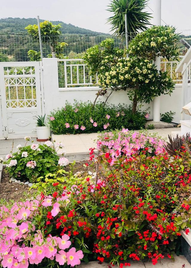 فيلا Lemon Tree'S House Kalavárda المظهر الخارجي الصورة
